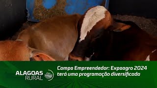 Campo Empreendedor Expoagro 2024 terá uma programação diversificada [upl. by Letizia543]