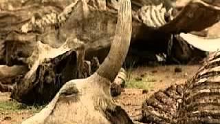 Arqueologia Biblica  Moisés mito o realidad  Documental completo [upl. by Ttreve30]