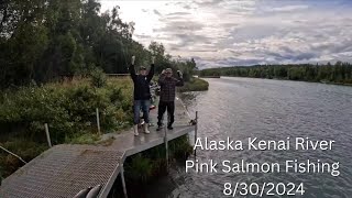 Alaska Kenai River Silver Salmon Fishing [upl. by Llerred]