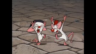 Pinky and the Brain  Schmeerskahoven Full [upl. by Hamilah]