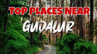 Must visit places in Gudalur  Gudalur travel guide in tamil  Ooty travel guide  New View Nilgiris [upl. by Nahamas]