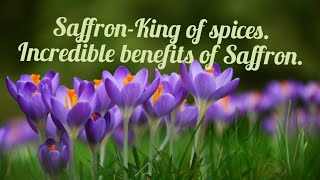 saffron Crocus sativusking of spices Benefits of Saffron [upl. by Berny113]