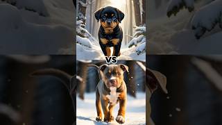 Rottweiler Puppy vs Pitbull Puppy German Shepherd  Husky  Doberman  Labrador Retriever Pointer [upl. by Irollam]