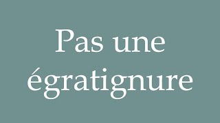 How to Pronounce Pas une égratignure Not a scratch Correctly in French [upl. by Ahseei546]