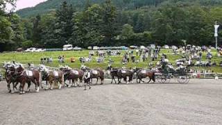 20 Jahre Pferdefreunde Leitzachtal  das Jubiläums Rossererfest [upl. by Meriel]