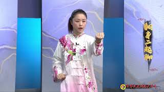 Sun Style Tai Chi Competition Routine 73 Forms form 3438 Eng Sub Master Qiu Huifang [upl. by Nwahsad]