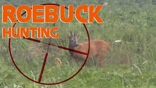 HUNTING ROE BUCK in France  Chasse au Brocard Cheuvreuil en France  2014 [upl. by Ardnahs744]