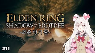 리마 파트로나 엘든링DLC 메스메르 최종보스 다 활로 잡아 11 [upl. by Notlok]