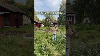 Schwedenhaus Renovierung Woche 4 🏡🌳 schwedenhaus renovierung schweden hausrenovierung [upl. by Jarek]