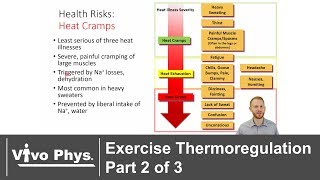 Exercise Thermoregulation Part 2 of 3  Exercise in the Heat [upl. by Belden]