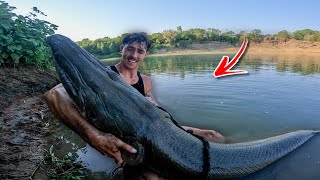 The biggest fish you have ever seen INSANE [upl. by Herrington]