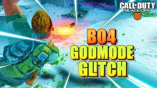 BO4 GODMODE GAMEPLAY INFINTE HEALTHFLOATING GUN GLITCH [upl. by Alex730]