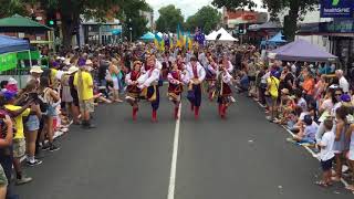 Pako Festa Parade 2018  Ukrainian Community Geelong Australia [upl. by Rundgren]