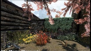 Take Me Home Honeyside  Skyrim Special Edition House Mod [upl. by Chessy]