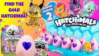 HATCHIMALS Colleggtibles Season 2 Find The Rare Gold Hatchimal [upl. by Halstead745]