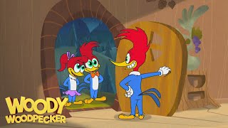 Woody Woodpecker Animated Compilation For Kids  WildBrain Max [upl. by Eidur]