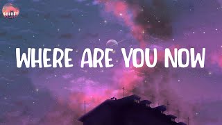 Where Are You Now  Lost Frequencies Lyrics [upl. by Yednil]