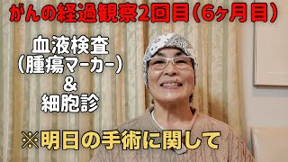 【VLOG】抗がん剤治療後の2回目の経過観察結果と明日の手術に関して [upl. by Asirb]