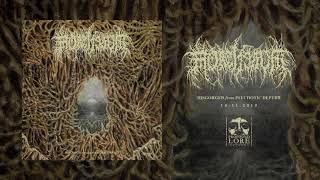 MORTIFERUM  Archaic Vision Of Despair official audio [upl. by Reggi]