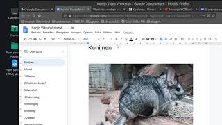 Een werkstuk opmaken met Google Drive [upl. by Irtimd]