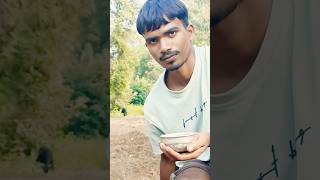 My busy hu khet bari m 🥰 trending shorts viral villagelifestyle shortvideo [upl. by Senga360]