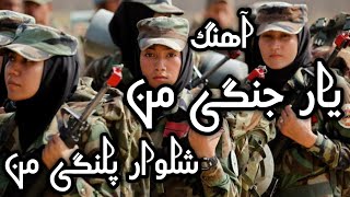 Yar jangi man shalwar palangi manpersian song یار جنگی من شلوار پلنگی من آهنگ فارسی [upl. by Bonni759]