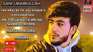 Maziger Ma Gora Ma Gora  Yaw Wraz Ba Tol Kali Khabar Si SLOWEDREVERB SANI UBAIDULLAH Viral Song [upl. by Shaner472]