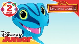 Løvenes Garde  Musikkvideo Gi en liten fyr en sjanse 🎵  Disney Junior Norge [upl. by Aehta]