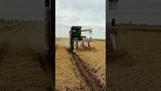 mini rice harvester Japan 😱😱 shorts harvester agriculture [upl. by Gwenny]