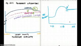 564 FA 12  DIFFUSION AND PERFUSION LIMITED [upl. by Damarra]