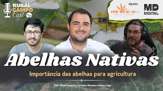 RuralCampoCast 62 Abelhas Nativas  Importância das abelhas para a agricultura [upl. by Lourdes]