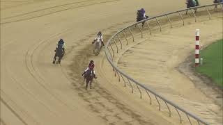 TIMONIUM 08 31 2024 RACE 4 PONY [upl. by Vil]