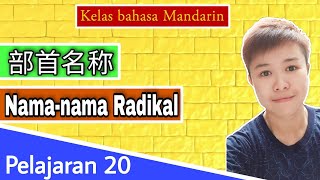 Kelas Bahasa Mandarin Pelajaran 20 Namanama Radikal Beserta Contohnya 部首名称 Bushou mingcheng [upl. by Anrak561]