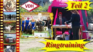 Hundeausstellung 26  Ringtraining für die Show  2 Training  Hund erfolgreich ausstellen  Tips [upl. by Bindman471]