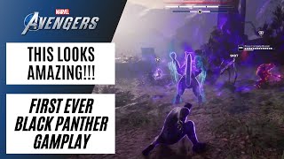 Why Black Panther is the Ultimate Leader [upl. by Elok]