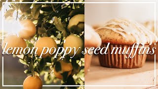 GARDEN RECIPE  Lemon Poppy Seed Muffins with Lemons from the Garden  Cozy Baking Day Collaboration [upl. by Anitnemelc]