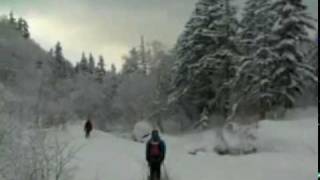 Hokkaido Powder Guides Skiing Daisetsuzan [upl. by Niro]