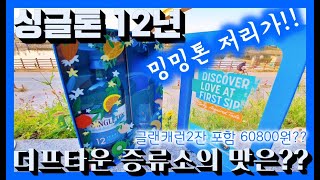 싱글톤 12년 더프타운 난 더이상 밍밍톤이 아냐ㅣ차박 위스키 [upl. by Peper]