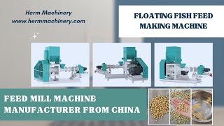 How the Dry Type Floating Fish Feed Pellet Making Machine Works  Herm Machinery feedpelletmachine [upl. by Coady544]