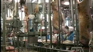 Food Equipment Australia Cattle Slaughter Equipment  Part 5 Carcass Splitting Trimming [upl. by Ymled]