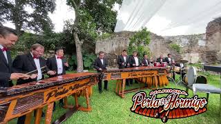 MARIMBA PERLA DE HORMIGO ANTIGUA GUATEMALA marimba para bailar para almorzar marimba pura [upl. by Tenahs]