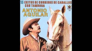 Antonio Aguilar  El Potro Lobo Gateado [upl. by Stormie]