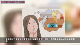 如何訓練幼貓完全手冊 [upl. by Meakem]