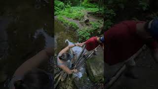 Kaskaskia Canyon Trail  Starved Rock State Park illinois hiking statepark [upl. by Adnalahs]