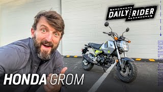 2022 Honda Grom Review  Daily Rider [upl. by Enirehtakyram]