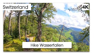 Wasserfallen Wanderung Baselland Switzerland 4K [upl. by Aihsik574]