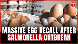 Salmonella Outbreak Prompts Egg Recall by Wisconsin [upl. by Reyna]