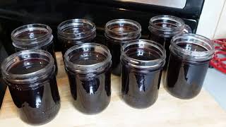 Foraging Chokecherries  Chokecherry Syrup  Cooking from Scratch  BC Outdoors [upl. by Bounds]