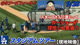 【レアな光景】カーショーがバットを振ってた！LADスタッフさんたちに紛れてカーショー球拾いしてた⚾️色々見れたスタジアムツアー✨ [upl. by Dorian]