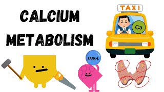 Parathyroid hormone Vitamin D amp Calcitonin in Calcium Regulation [upl. by Obnukotalo]